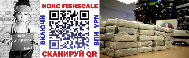 COCAIN Fish Scale ОМГ ОМГ Новоалтайск