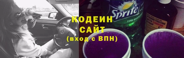мдпв Елабуга
