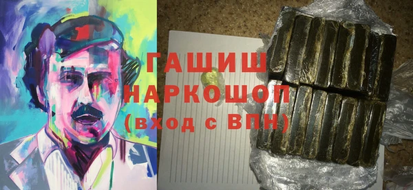 гашик Елизово