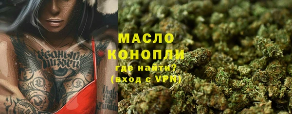 мдпв Елабуга