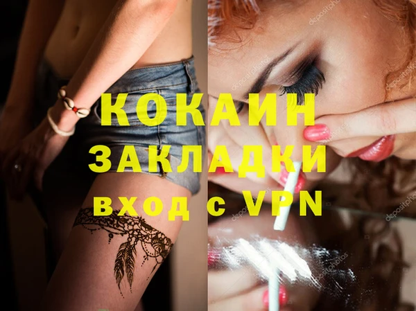 мдпв Елабуга