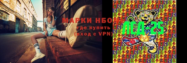 гашик Елизово