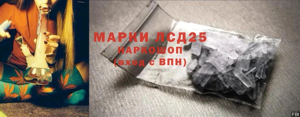 гашик Елизово