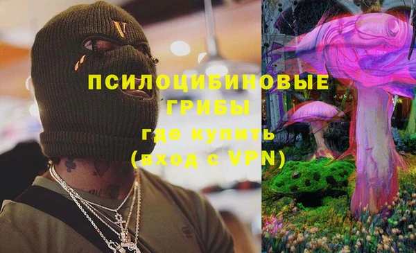 ECSTASY Рославль