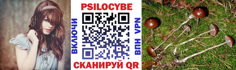 Псилоцибиновые грибы Cubensis  где найти   Новоалтайск 